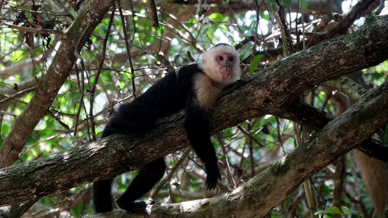 Guatemala: Heart of the Maya World — 3 Days