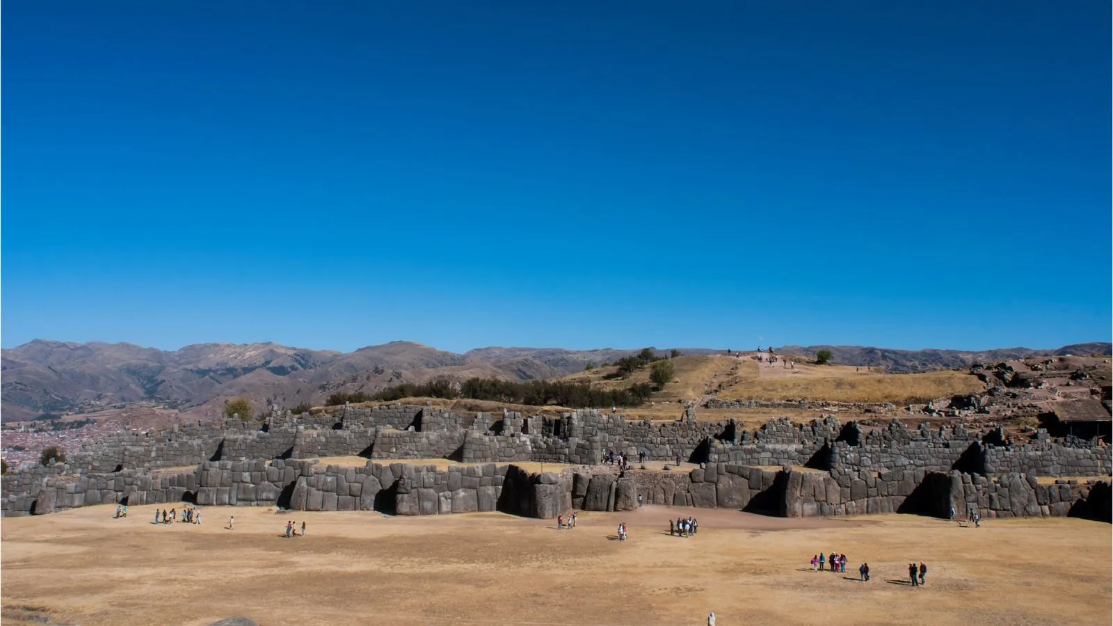 Andean wildlife at the Ccochahuasi sanctuary near Cusco