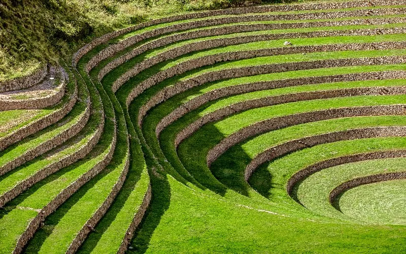 Sacred Valley: Learning to Move at the Rhythm of the Andes