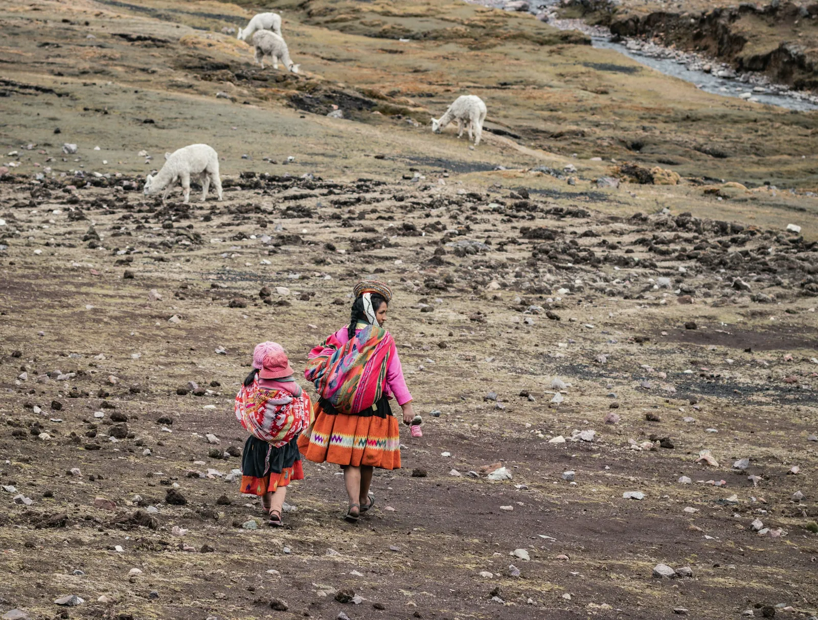 Andean highlands, Peru