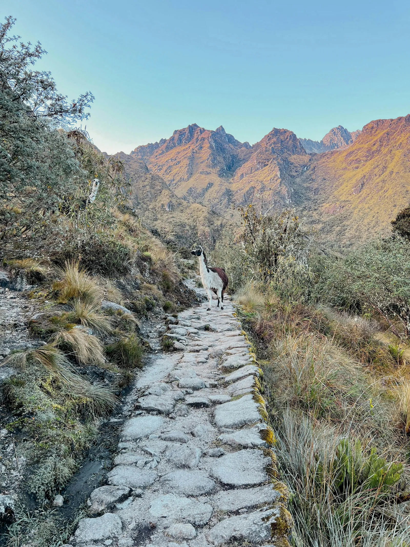 The Inca Trail, Peru