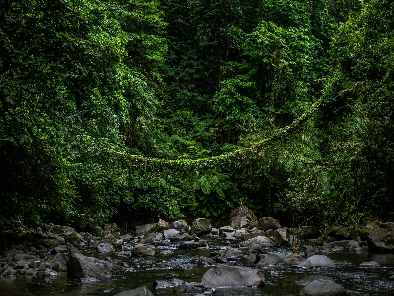 Pacuare River, Costa Rica