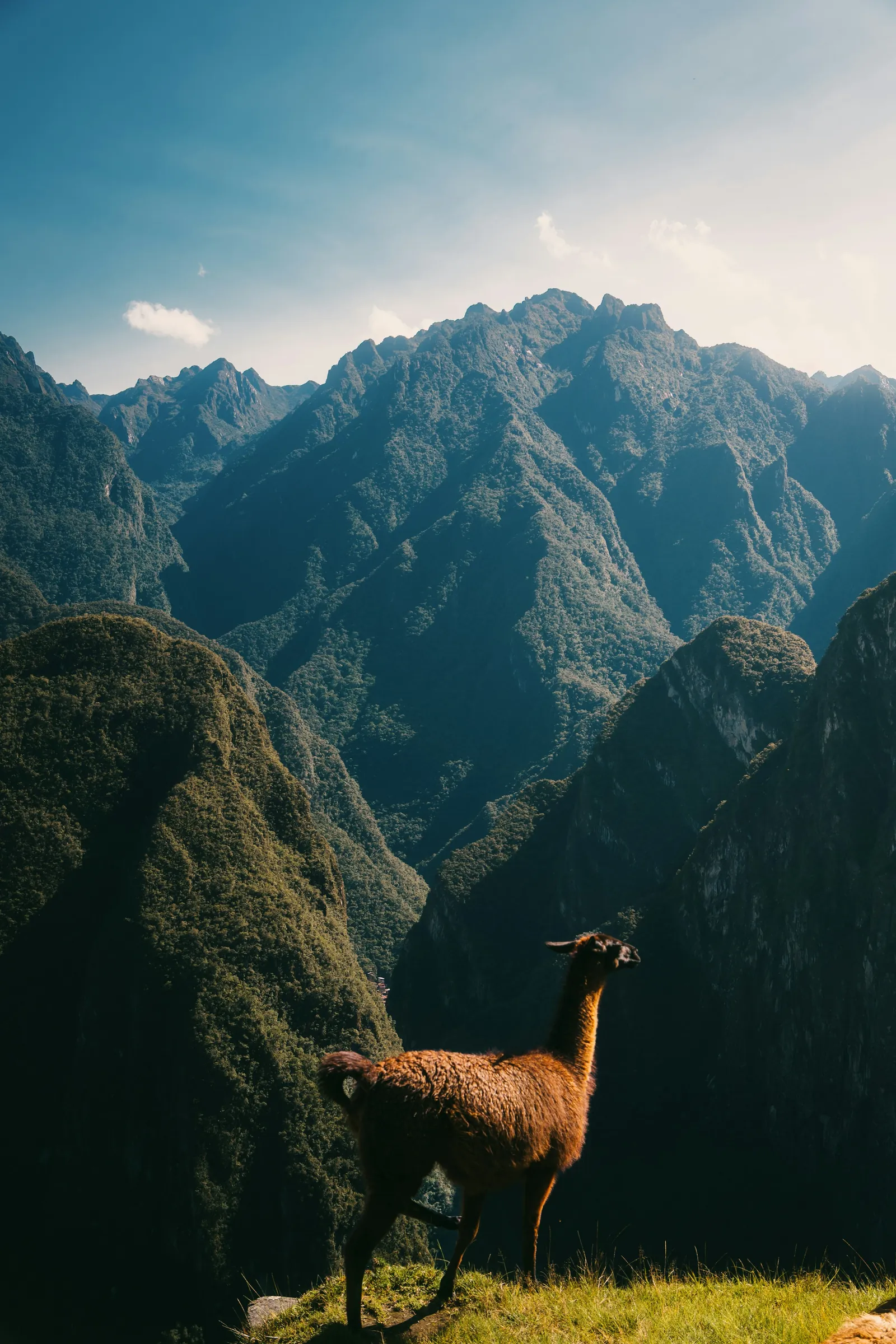 Andean highlands, Peru