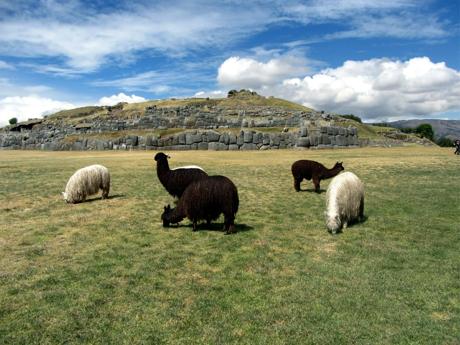 Andean highlands, Peru