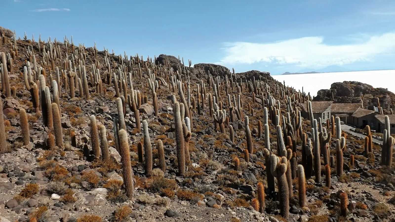 Uyuni Salt Flat, Bolivia