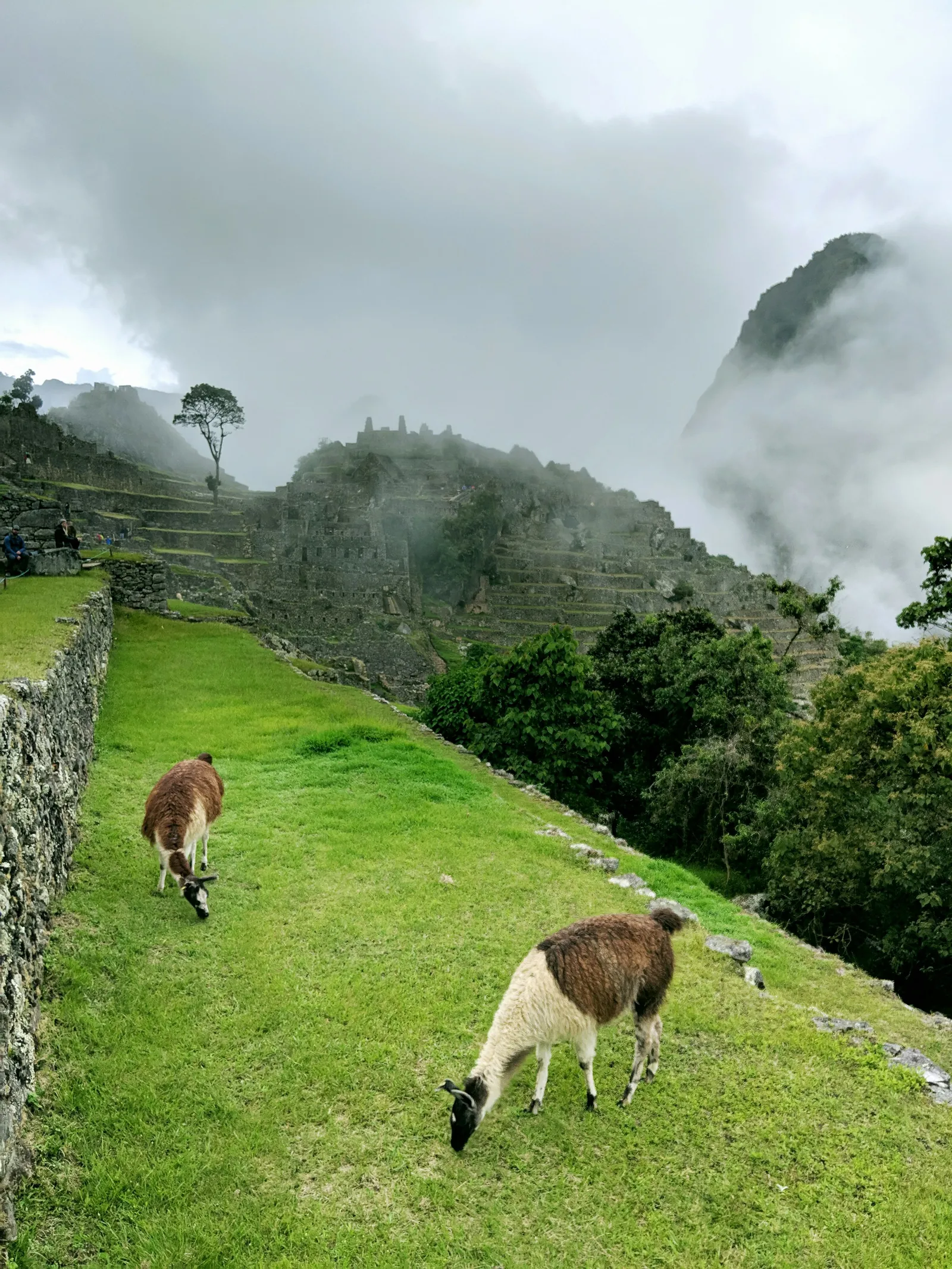 Machu Picchu, Peru