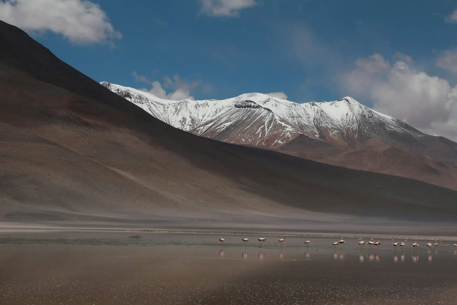 Eduardo Avaroa Reserve, Bolivia