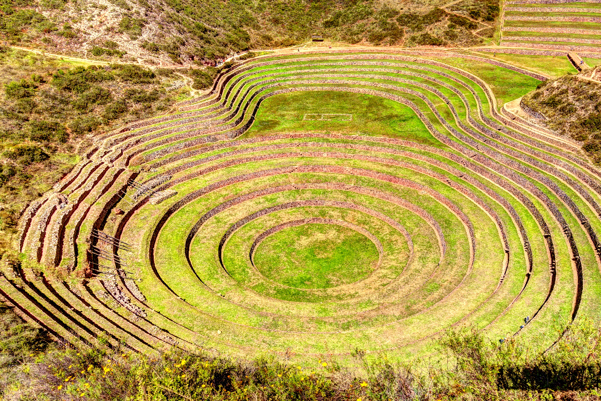 Maras Moray